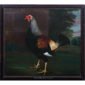 Portrait Of Rooster With Trimmed Feathers, 18th Century Circle Of John Nost Sartorius (1759-1830)