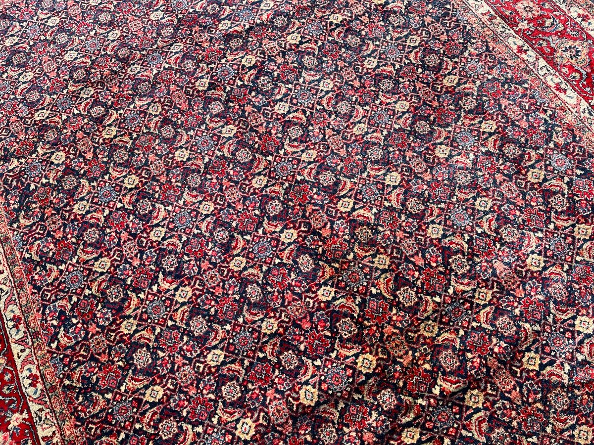 Sarough Mahal Rug Circa 1960. 340x239 Cm-photo-4