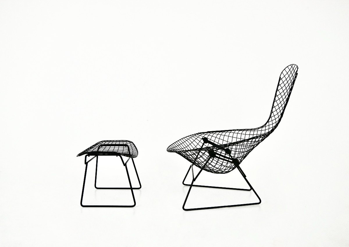 Bird Chair And Ottoman By Harry Bertoia For Knoll, 1960s-photo-4