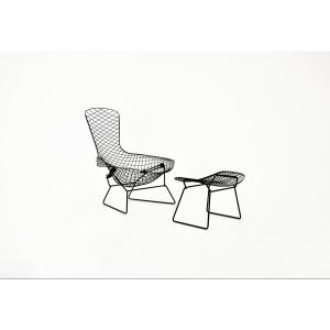 Fauteuil "bird" Et Ottoman Par Harry Bertoia Pour Knoll, 1960s