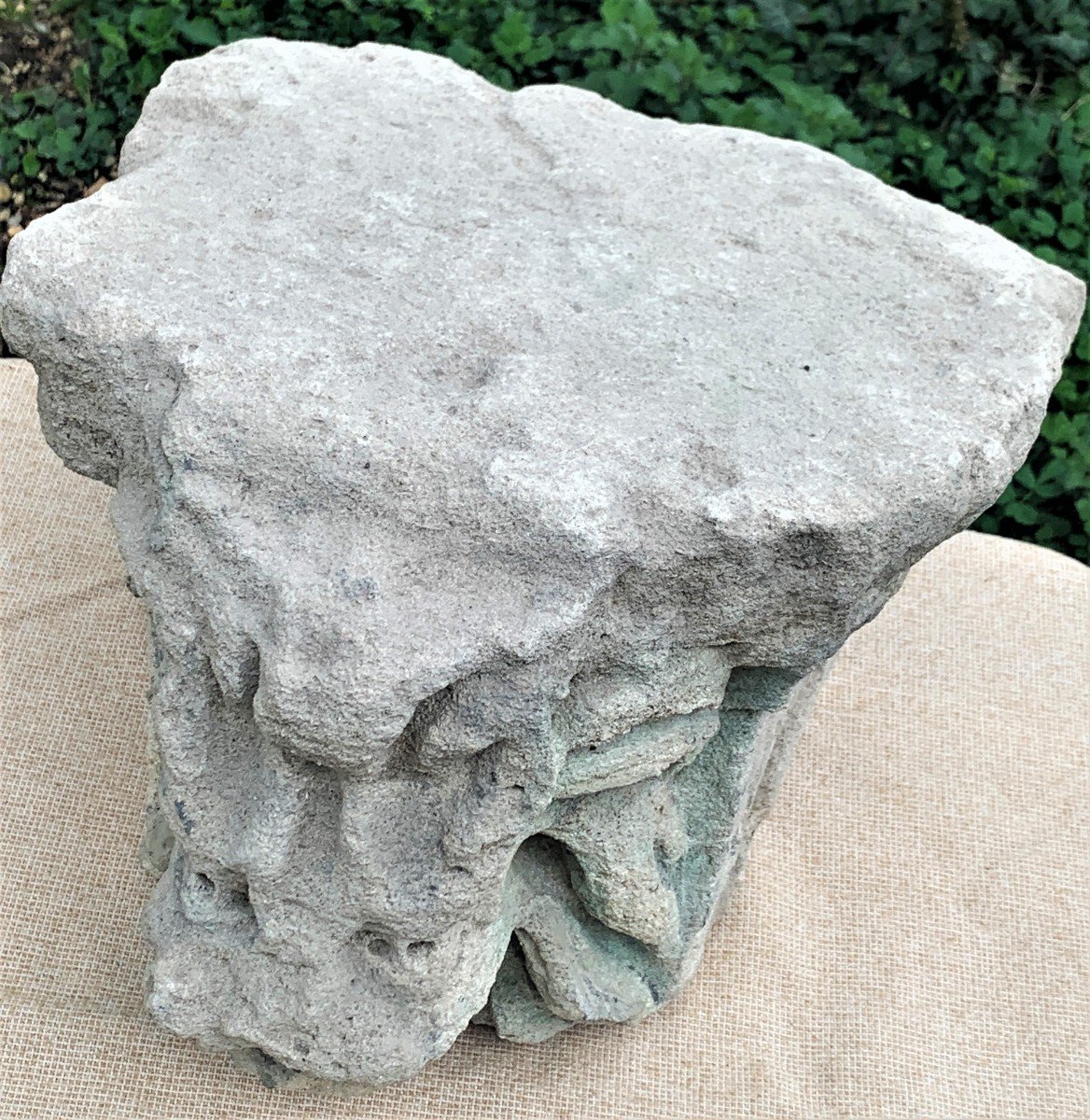 XIVe s superbe modillon pierre calcaire sculpté lion menaçant-photo-5
