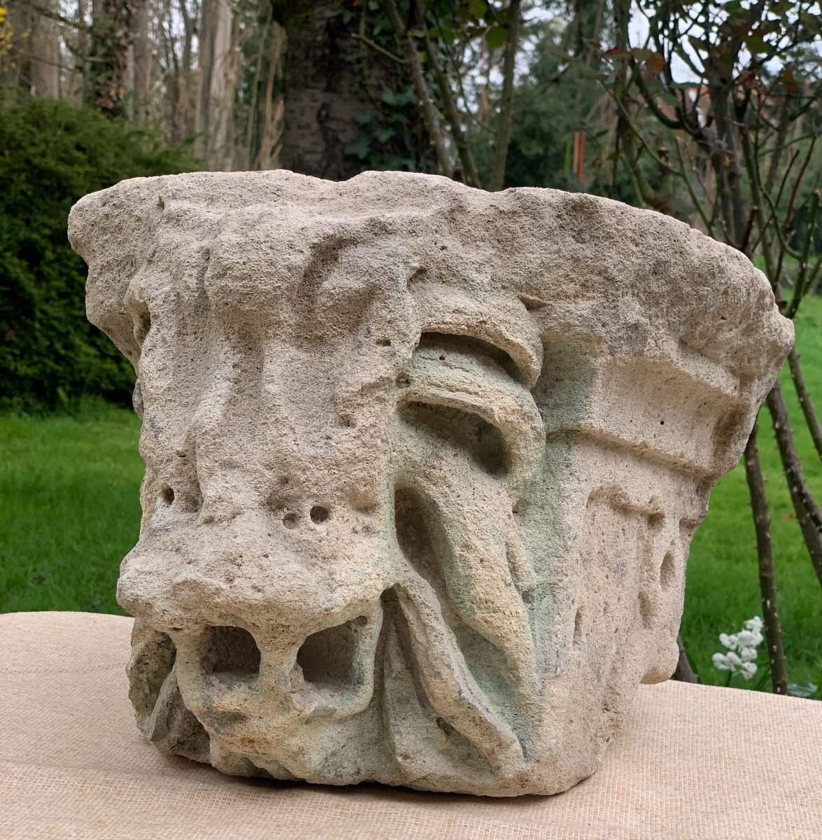 XIVe s superbe modillon pierre calcaire sculpté lion menaçant-photo-6