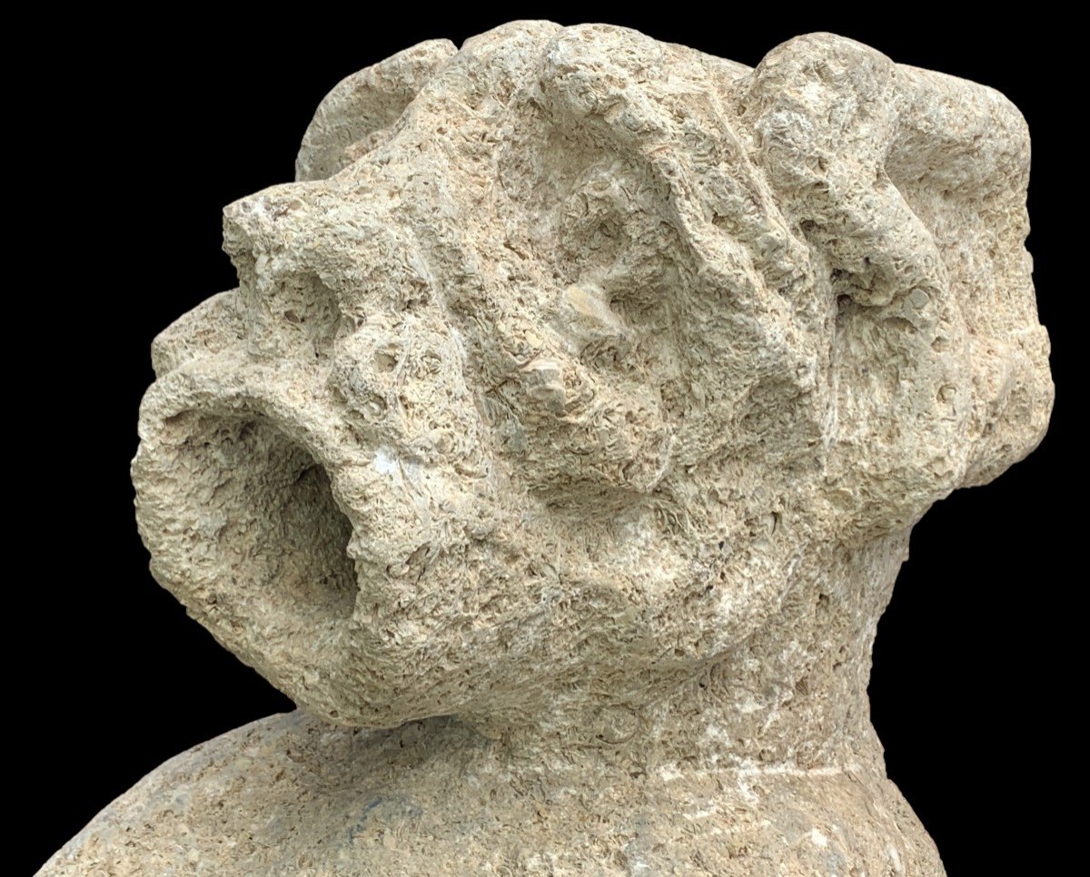 14th Or 15th Cty, Important Medieval Fossil Stone Carved Gargoyle  Dragon Howling-photo-4