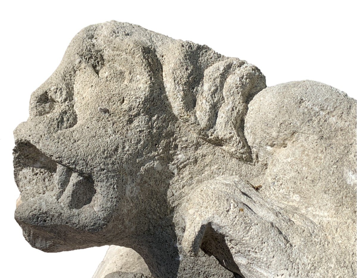 13th C. Stunning Stone Gargoyle, Hybrid Monster With Demon Head & Frog's Body, Roman Period-photo-2