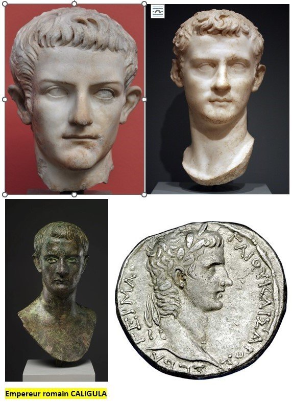 15th White Marble Medallion, Large Tondo Profile Portrait From Roman Emperor Caligula-photo-8