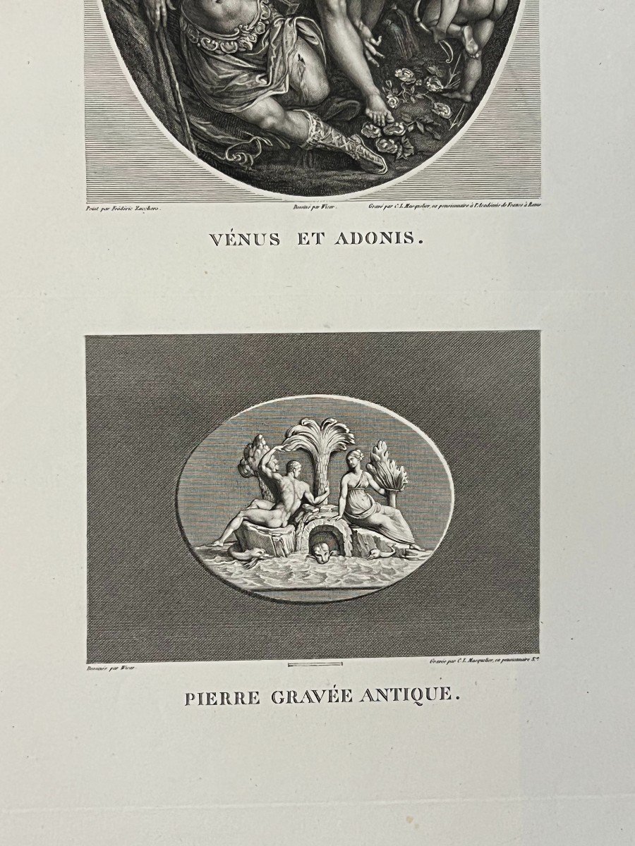 Venus Et Adonis, Zucchero, XIXe gravure-photo-3