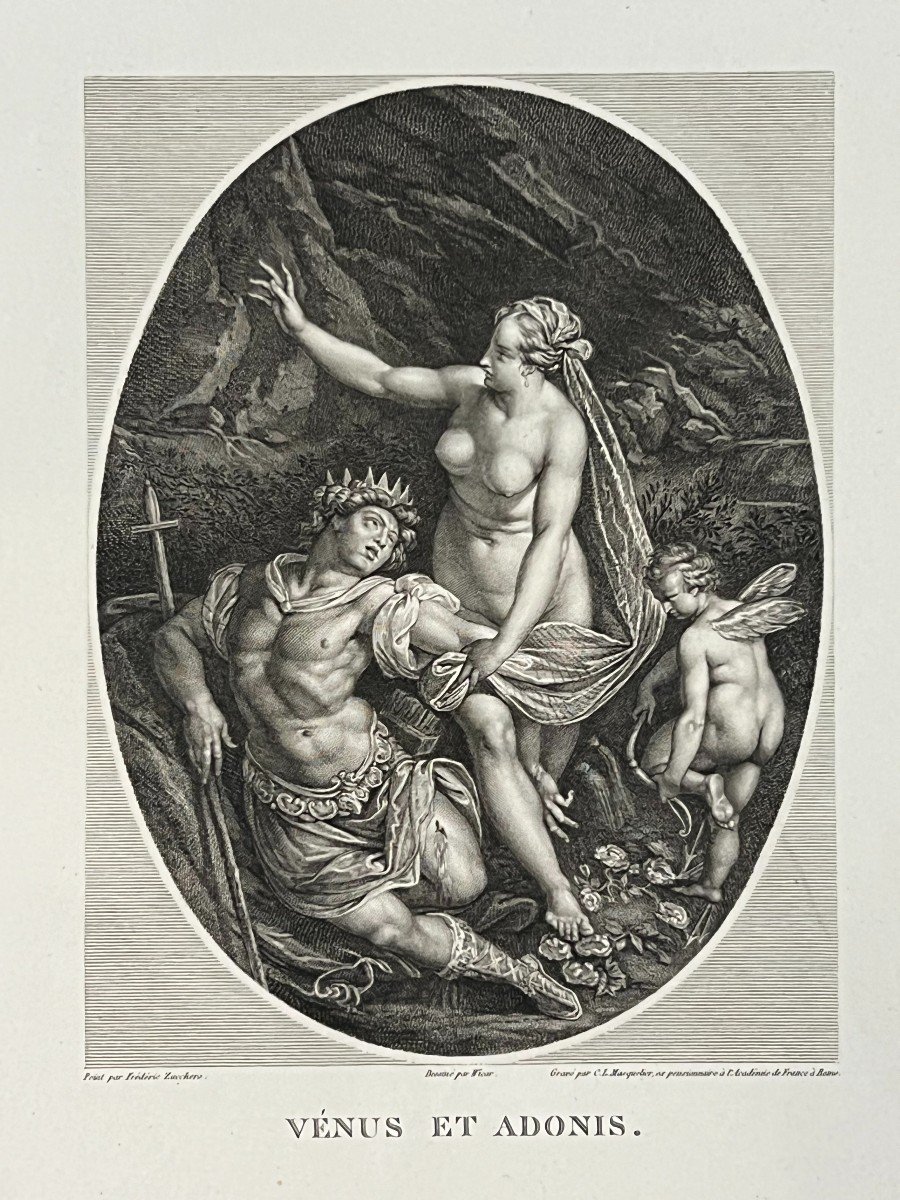 Venus Et Adonis, Zucchero, XIXe gravure-photo-4