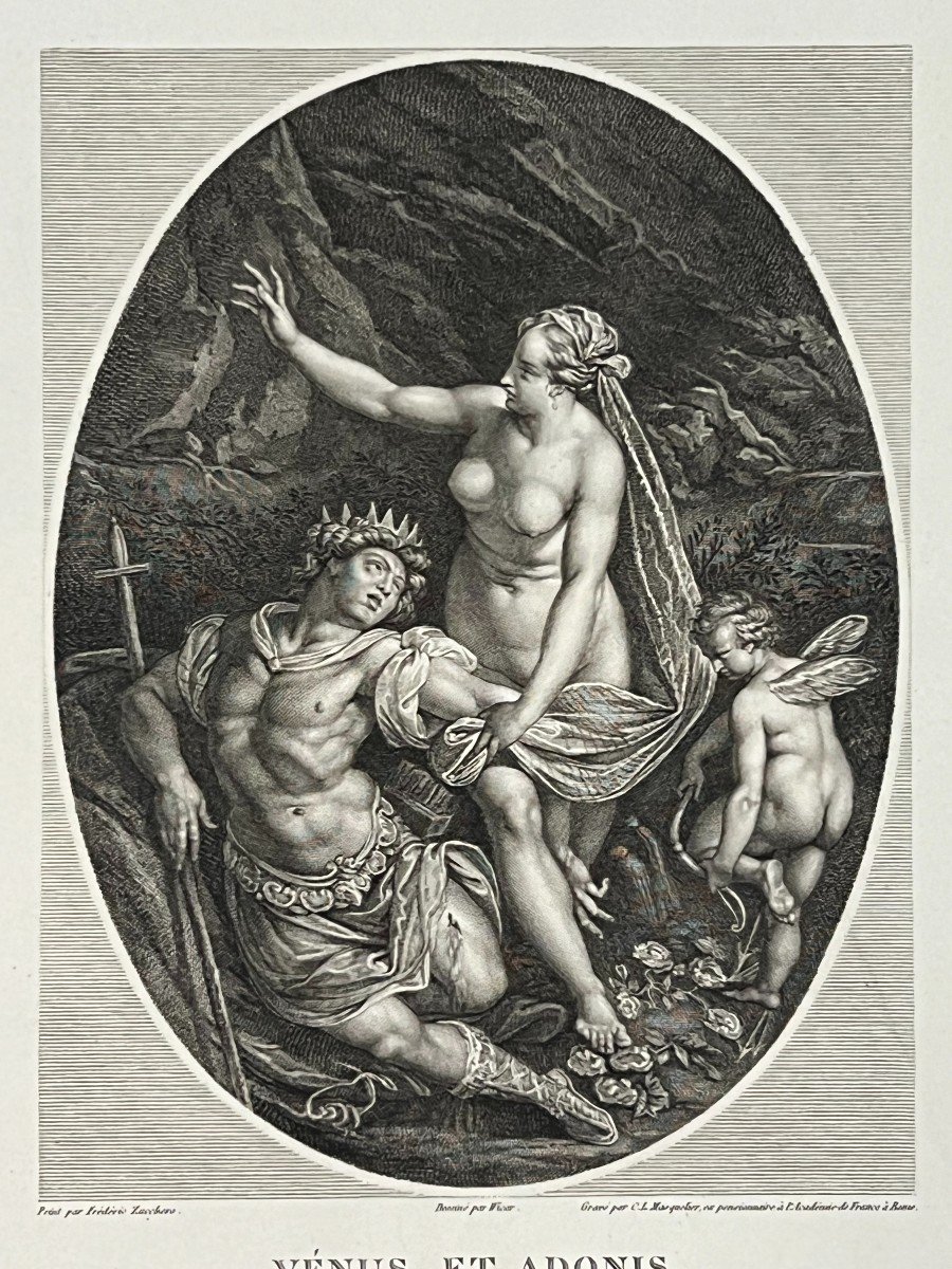 Venus Et Adonis, Zucchero, XIXe gravure-photo-5