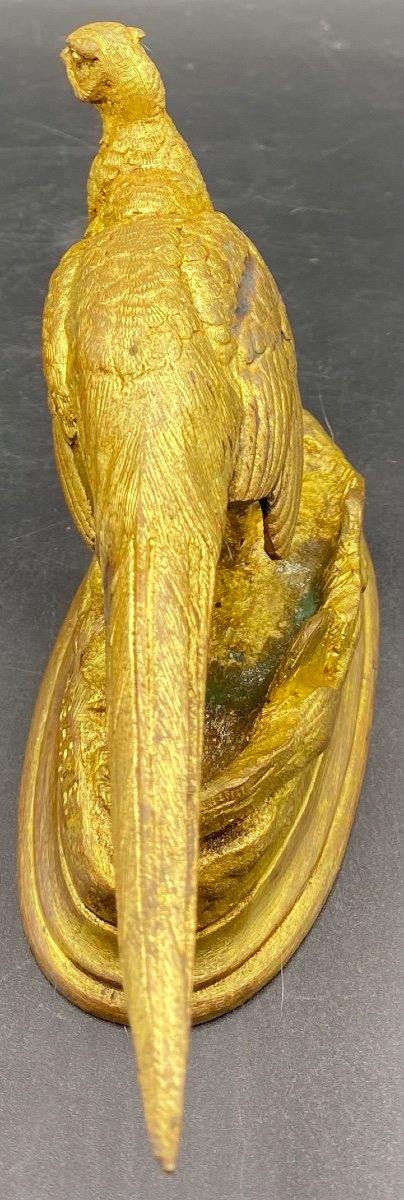 Pheasant Hen Subject In Gilded Cast Bronze From China, Late 19th Century By Alfred Barye-photo-2