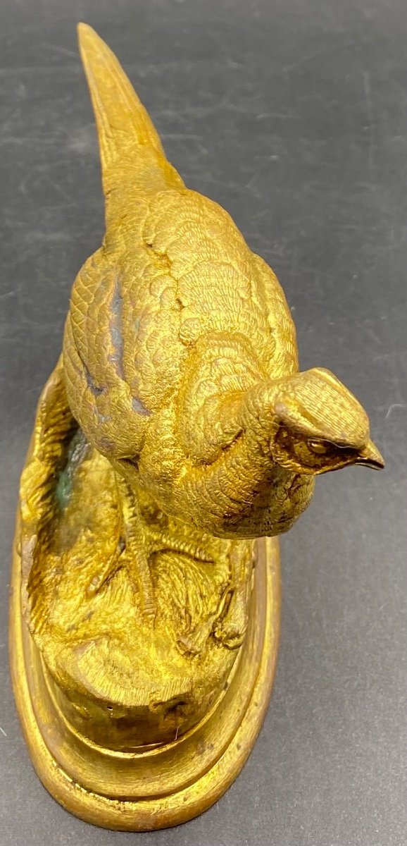 Pheasant Hen Subject In Gilded Cast Bronze From China, Late 19th Century By Alfred Barye-photo-4