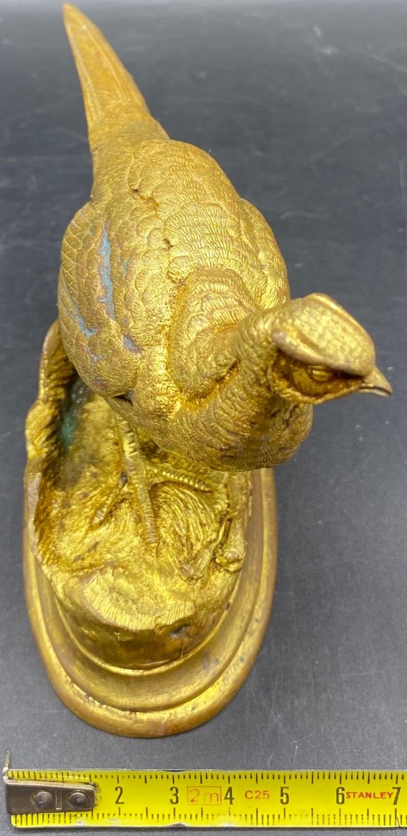 Pheasant Hen Subject In Gilded Cast Bronze From China, Late 19th Century By Alfred Barye-photo-4