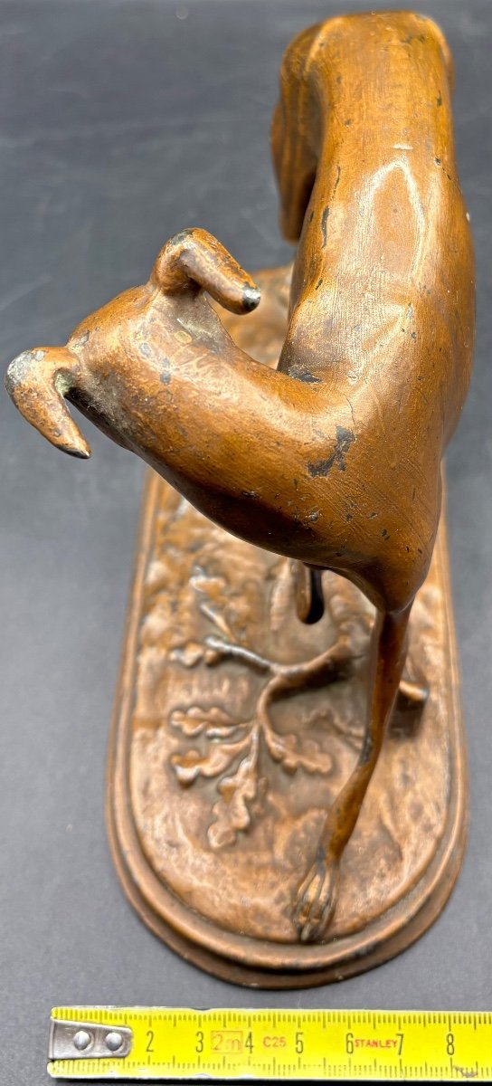 French Patinated Fondu Whippet Subject From The 1920s-photo-5