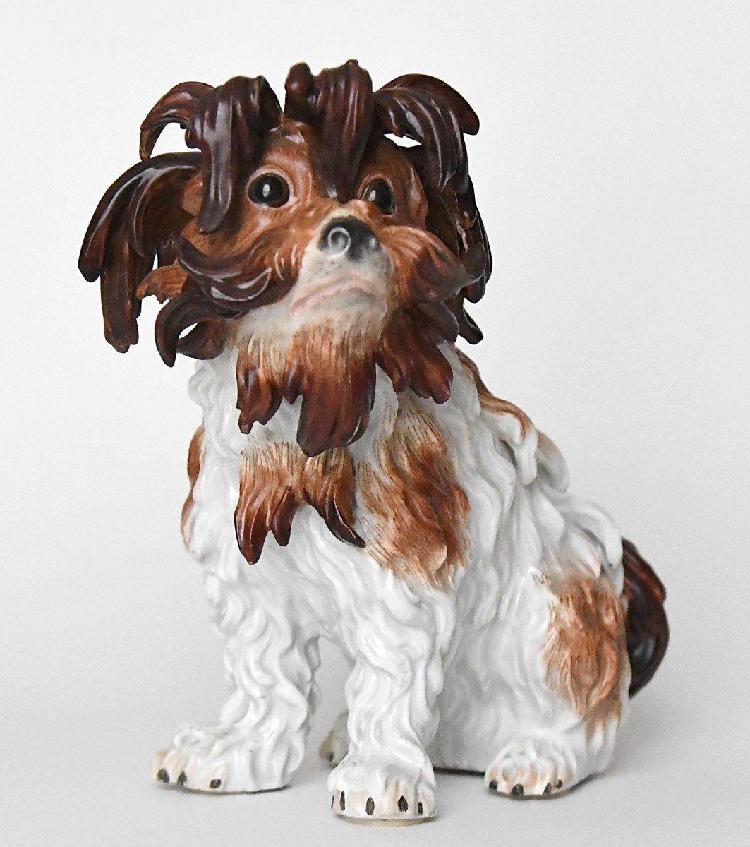 Statuette en porcelaine de Meissen représentant un chien Bichon Bolonais assis, Modèle 2880-photo-2