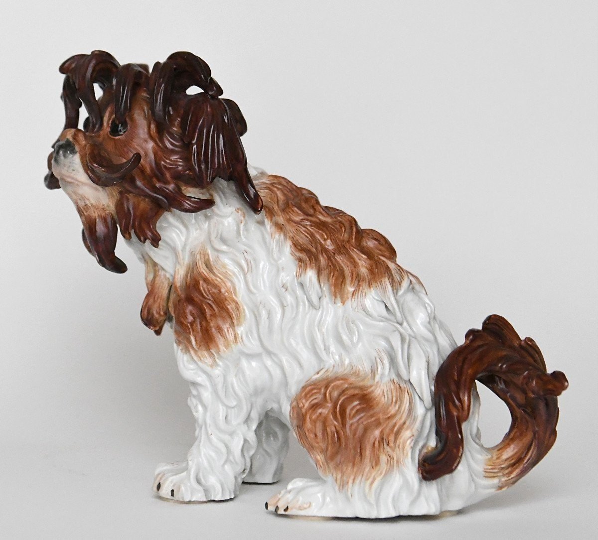 Statuette en porcelaine de Meissen représentant un chien Bichon Bolonais assis, Modèle 2880-photo-1