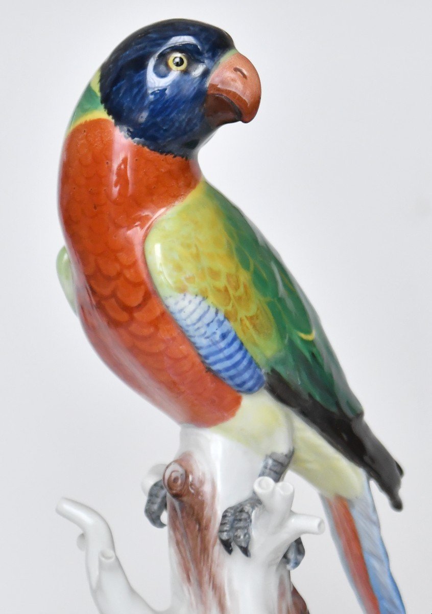 Large Meissen Porcelain Statuette Representing A Parrot, Model 63 (h=32cm)-photo-2