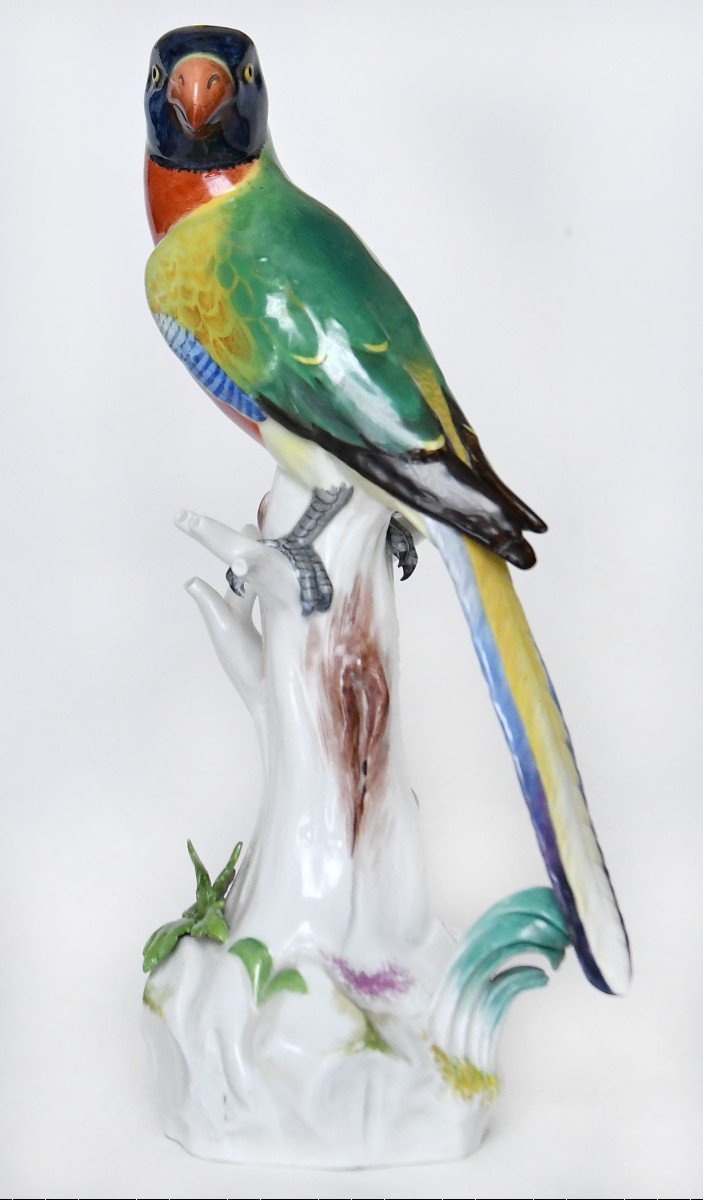 Large Meissen Porcelain Statuette Representing A Parrot, Model 63 (h=32cm)-photo-4