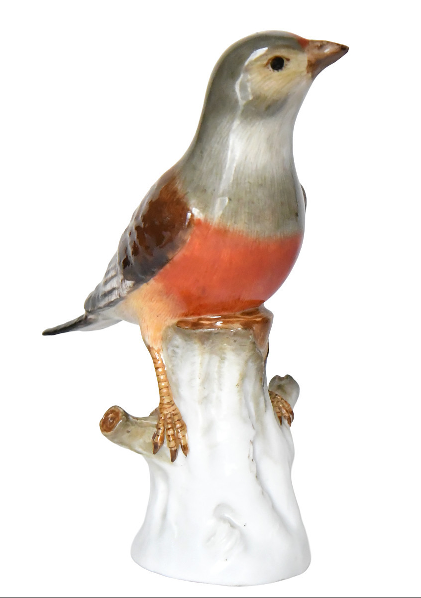 Meissen Porcelain Statuette Representing The Linnet Bird, Model 110-photo-3