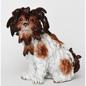 Statuette en porcelaine de Meissen Chien Bichon Bolonais, Modèle 2880 