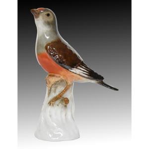 Meissen Porcelain Statuette Representing The Linnet Bird, Model 110