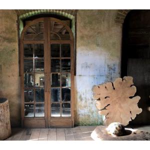 Pair Of Mirrored Orangery Doors