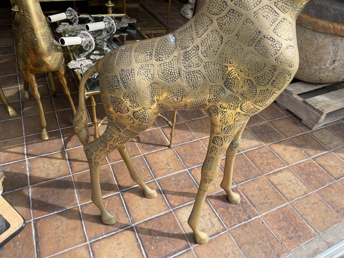 Important Brass Giraffe.-photo-4