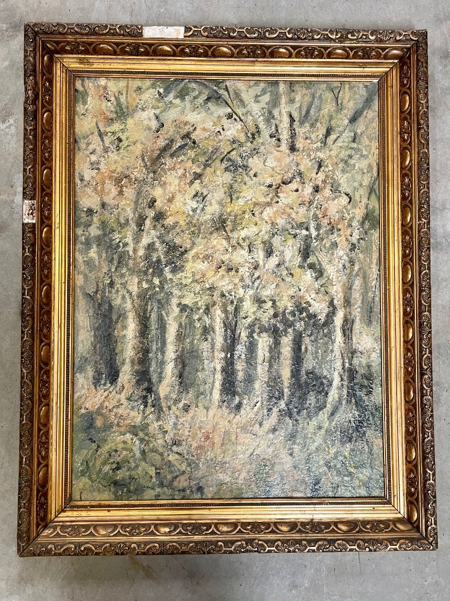 Francisco Arias - Undergrowth, Oil On Isorelle, Framed - H.: 80 Cm. -photo-2