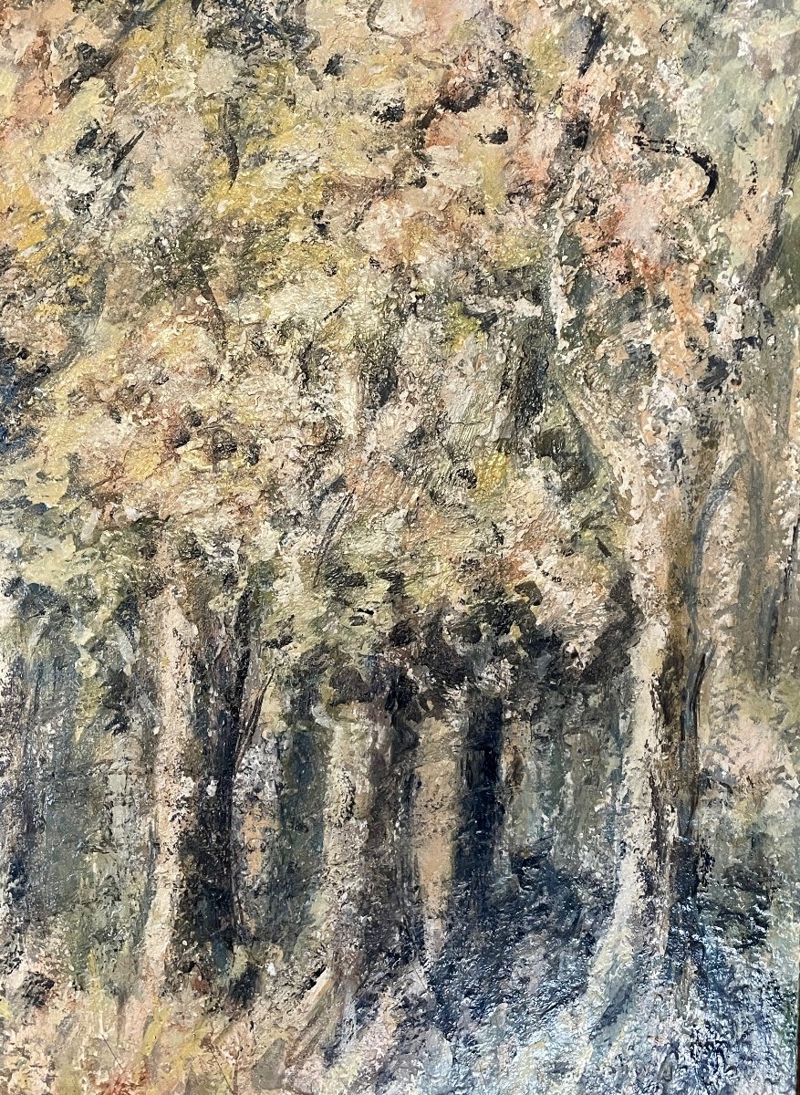 Francisco Arias - Undergrowth, Oil On Isorelle, Framed - H.: 80 Cm. -photo-3