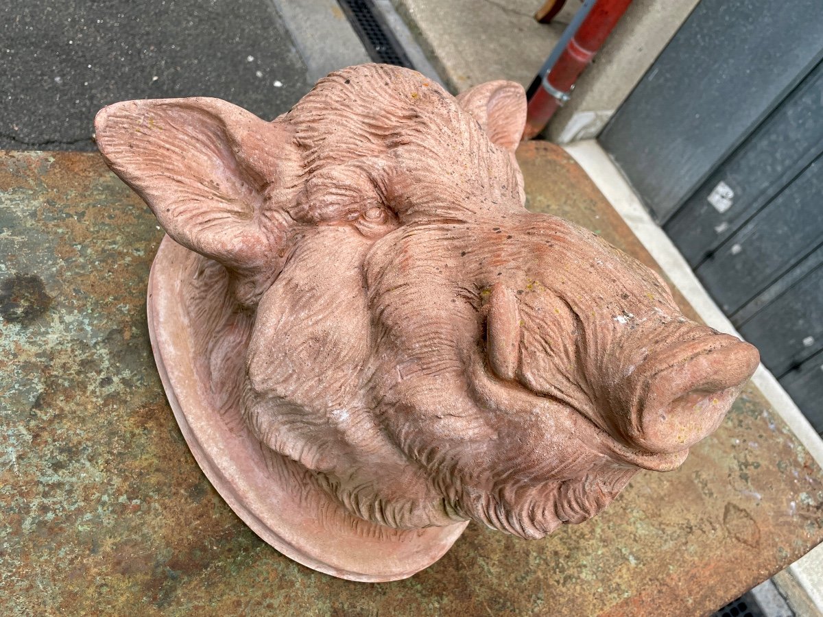 Galestro Colorobbia - Clay Boar's Head - High. : 38.5 Cm. -photo-4