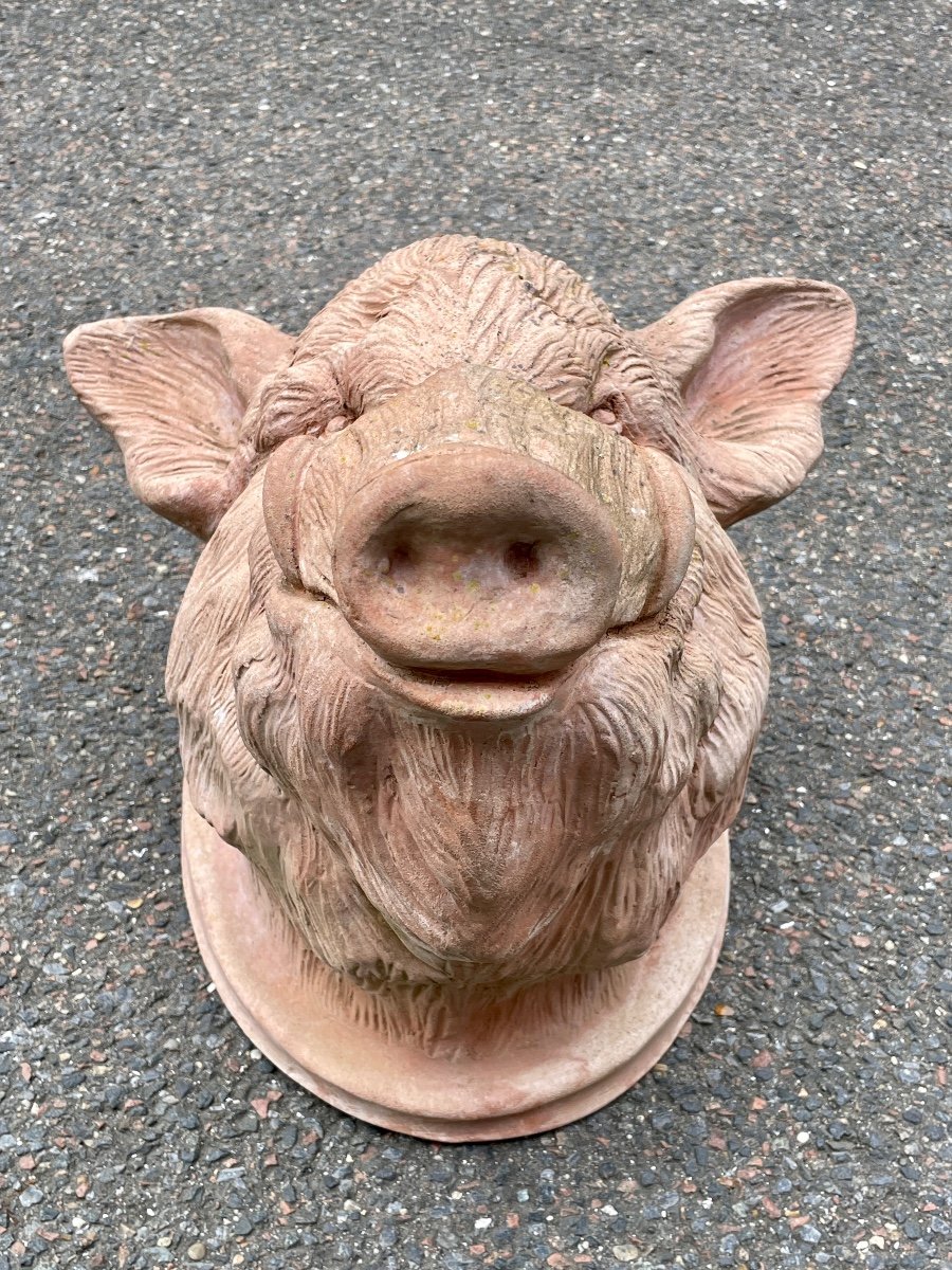 Galestro Colorobbia - Clay Boar's Head - High. : 38.5 Cm. -photo-7