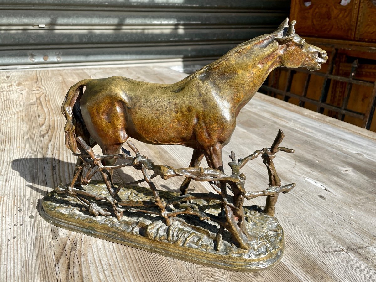 Pierre Jules Mène - Bronze Horse At The Barrier - Width: 36 Cm. -photo-8