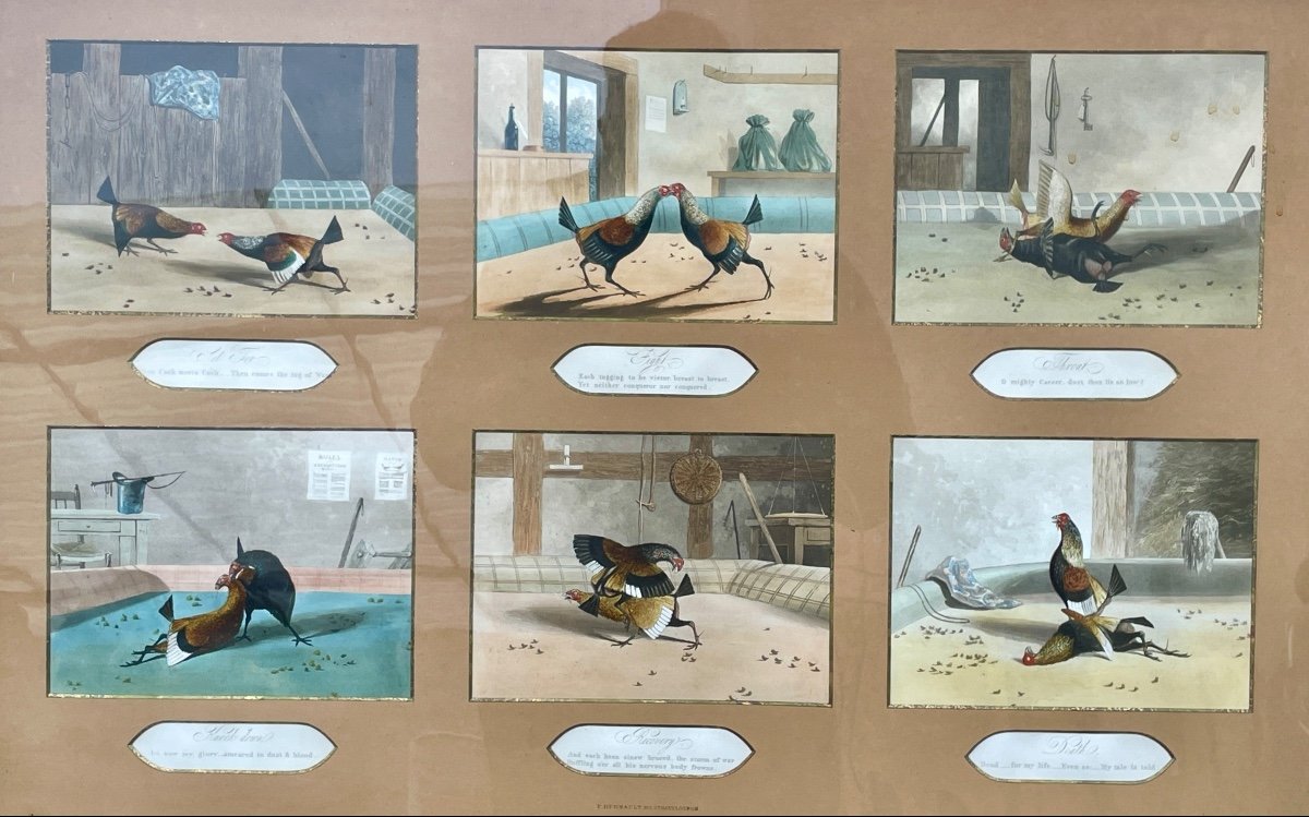 Set Of Six Enhanced English Engravings On Cockfighting, 19th Century. 