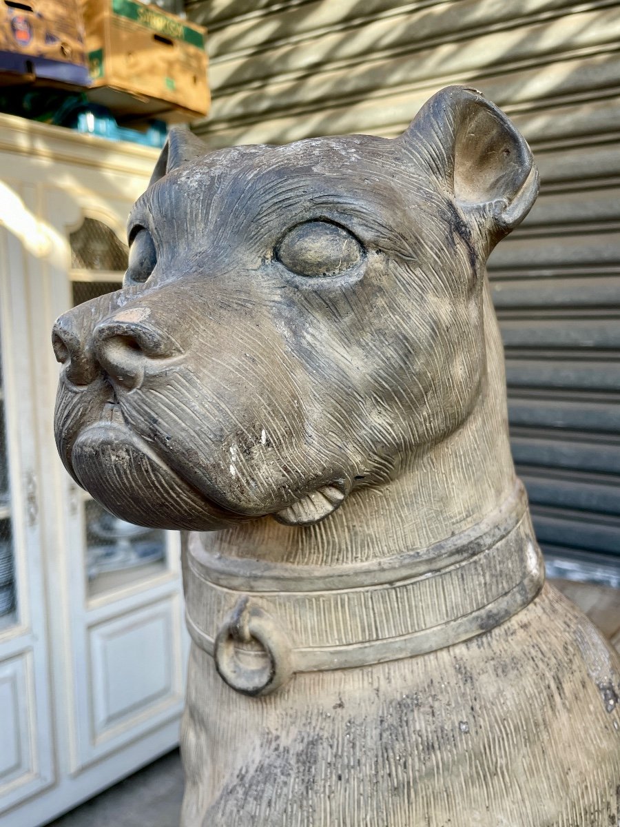 Life-size Terracotta Guard Dog - Height: 70 Cm. -photo-5