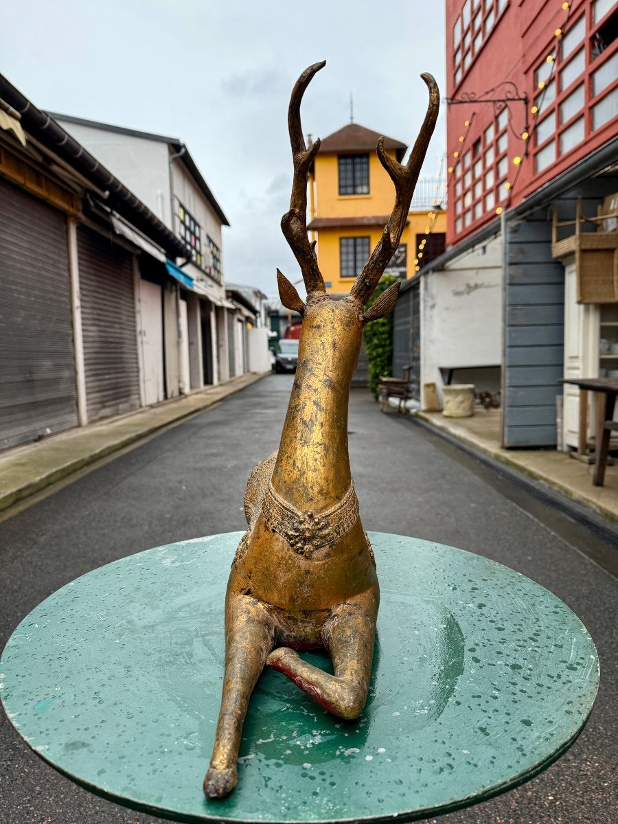 Siam / Thailand - Reclining Deer In Gilded Bronze - Height: 52 Cm. -photo-3