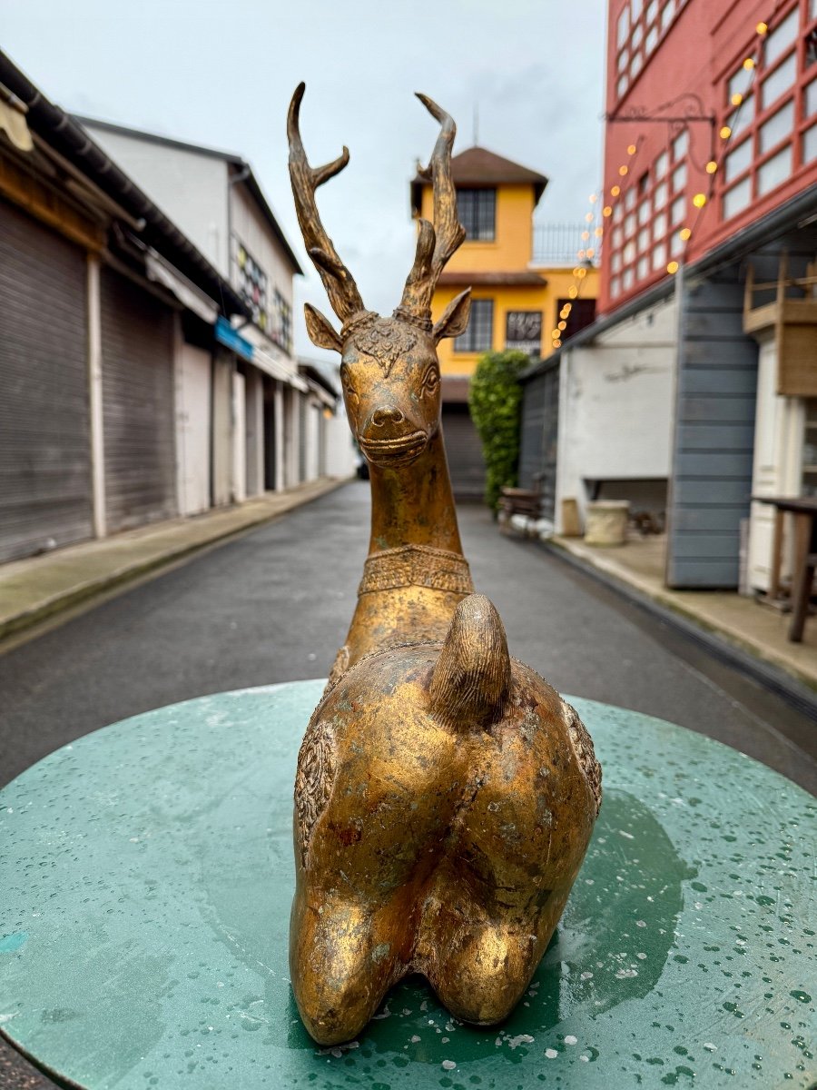 Siam / Thailand - Reclining Deer In Gilded Bronze - Height: 52 Cm. -photo-4