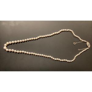 Pearl Necklace