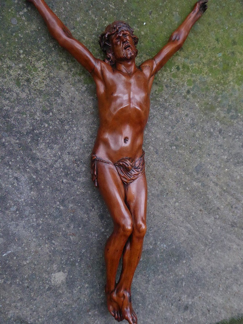 Grand Christ En Buis Sculpté - France XVIIIe Siècle-photo-5