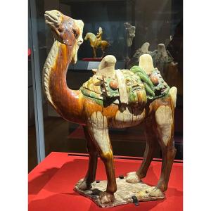 Silk Road Camel Sculpture - 3d Monocle Demonstration