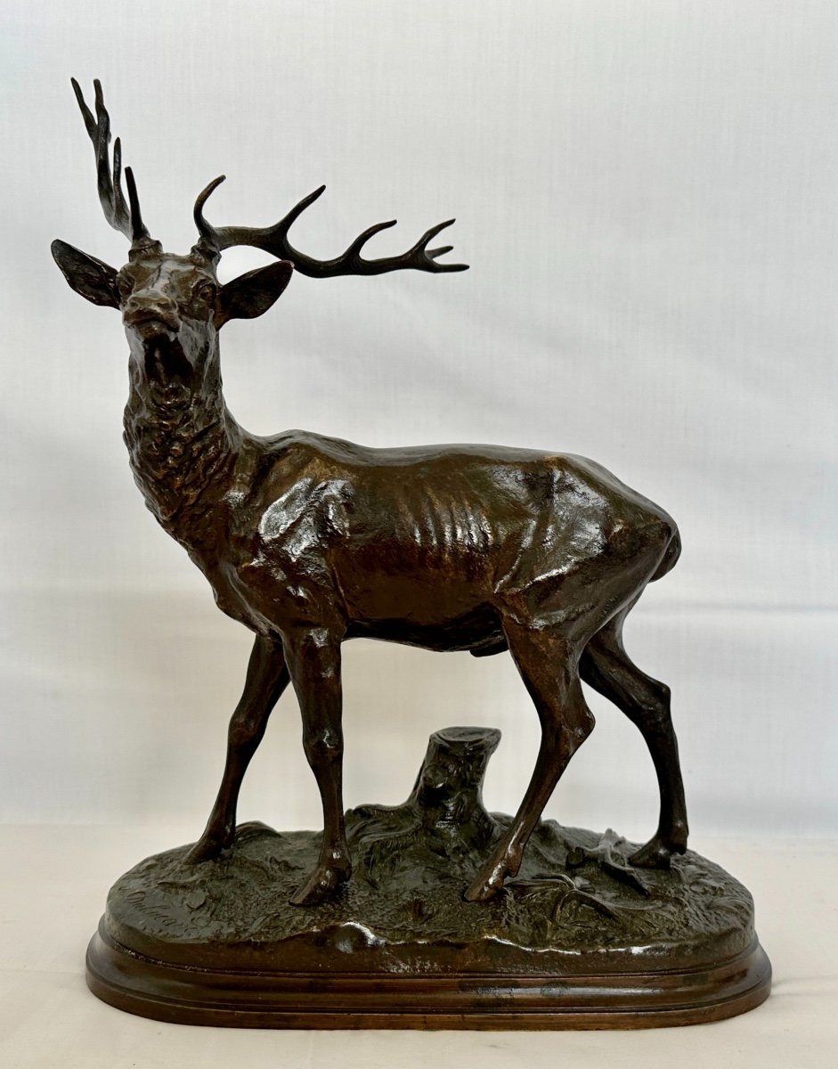 Proantic: Beautiful Bronze deer With 12 Horns Signed By Alfred Dubuc