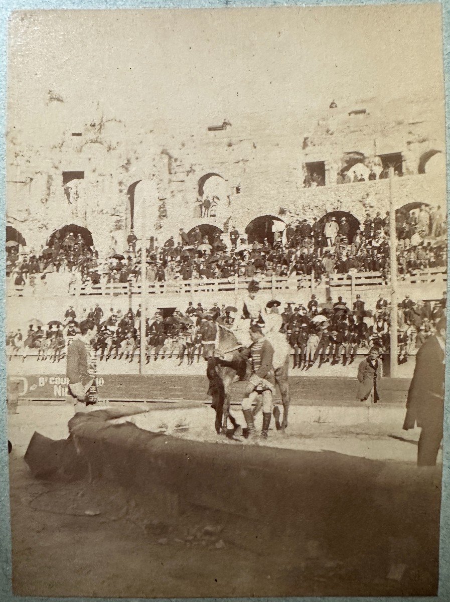 Hippolyte Peragallo 8 Photographies époque 1880 Jeux De Cirque à Nimes Et Jardin De La Fontaine-photo-1