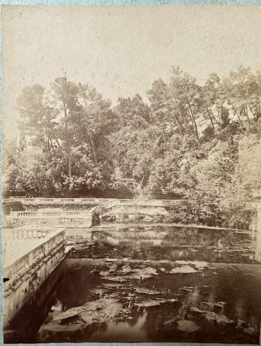 Hippolyte Peragallo 8 Photographies époque 1880 Jeux De Cirque à Nimes Et Jardin De La Fontaine-photo-7