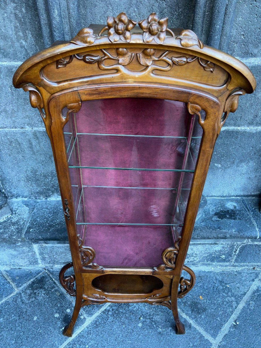 Art Nouveau Display Case-photo-2