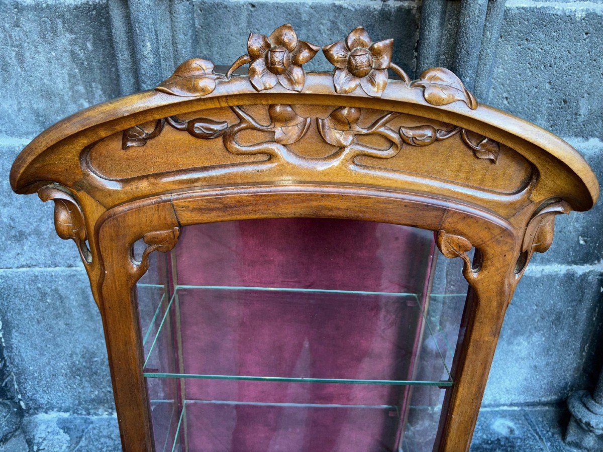 Art Nouveau Display Case-photo-3