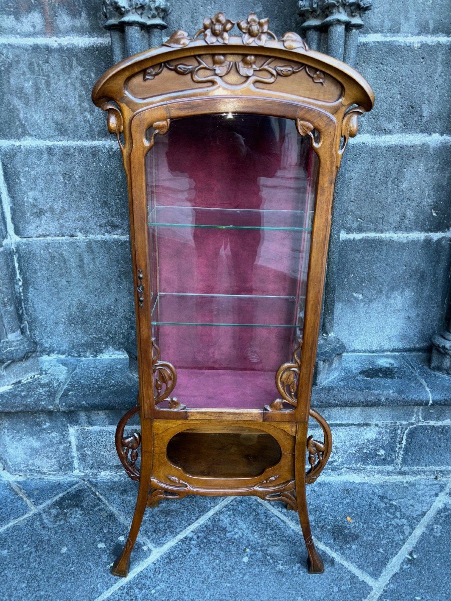 Art Nouveau Display Case