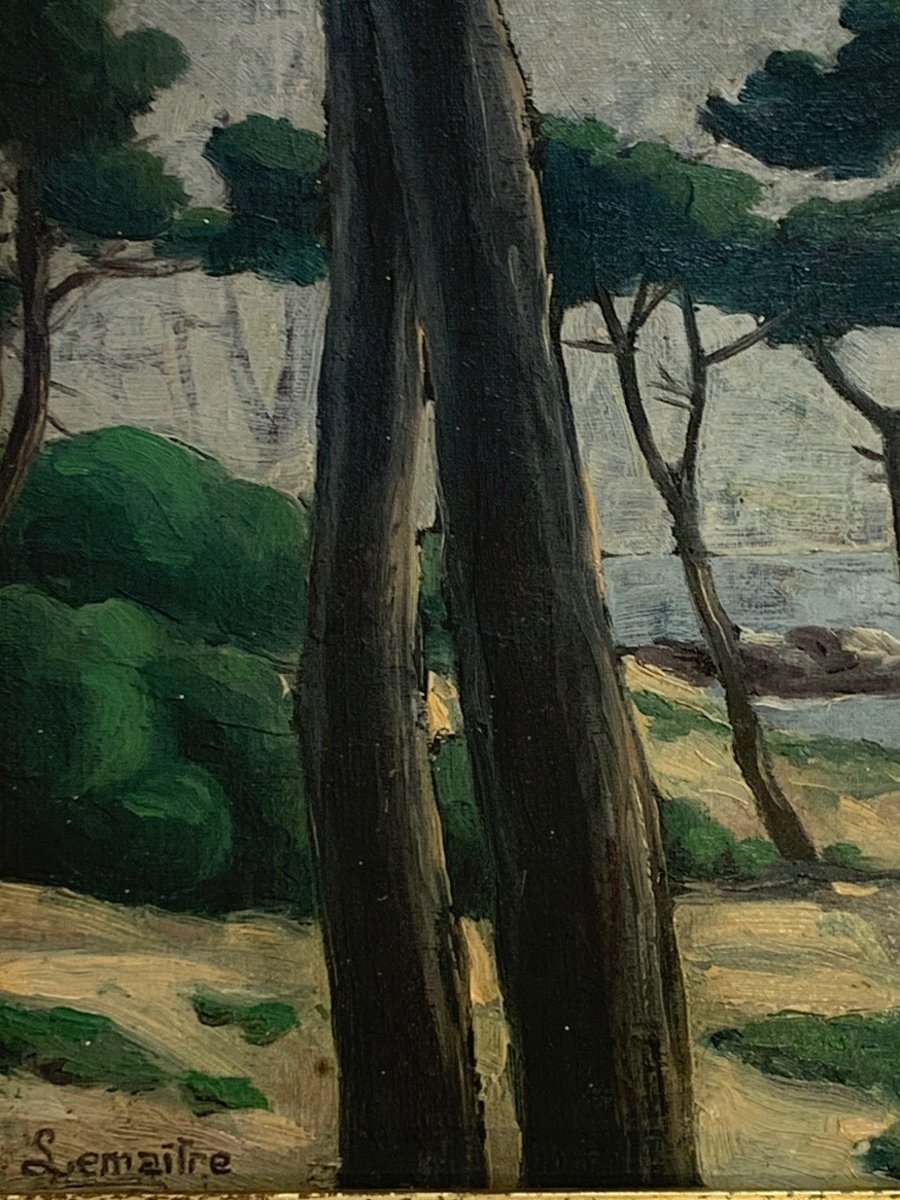 Oil On Canvas, The Umbrella Pines, Albert Lemaitre -photo-3