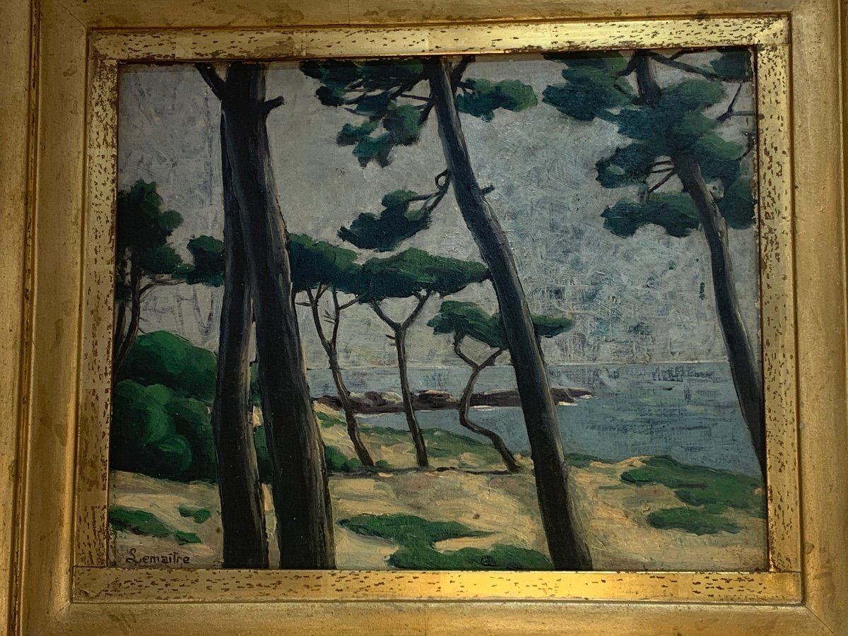 Oil On Canvas, The Umbrella Pines, Albert Lemaitre -photo-1