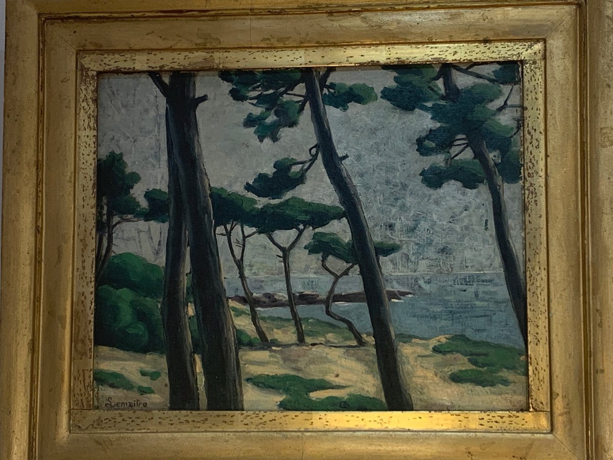 Oil On Canvas, The Umbrella Pines, Albert Lemaitre 