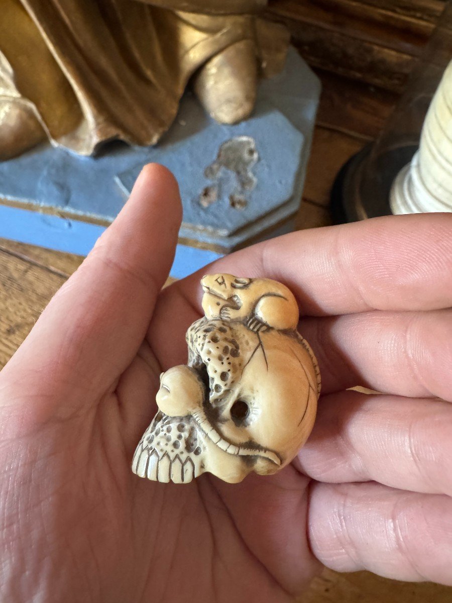 Netsuke Cr&acirc;ne &ndash; Vanit&eacute; &ndash; Memento Mori &ndash; Cr&acirc;ne Surmont&eacute; De Deux Rats - Japon - Curiosit&eacute;-photo-2