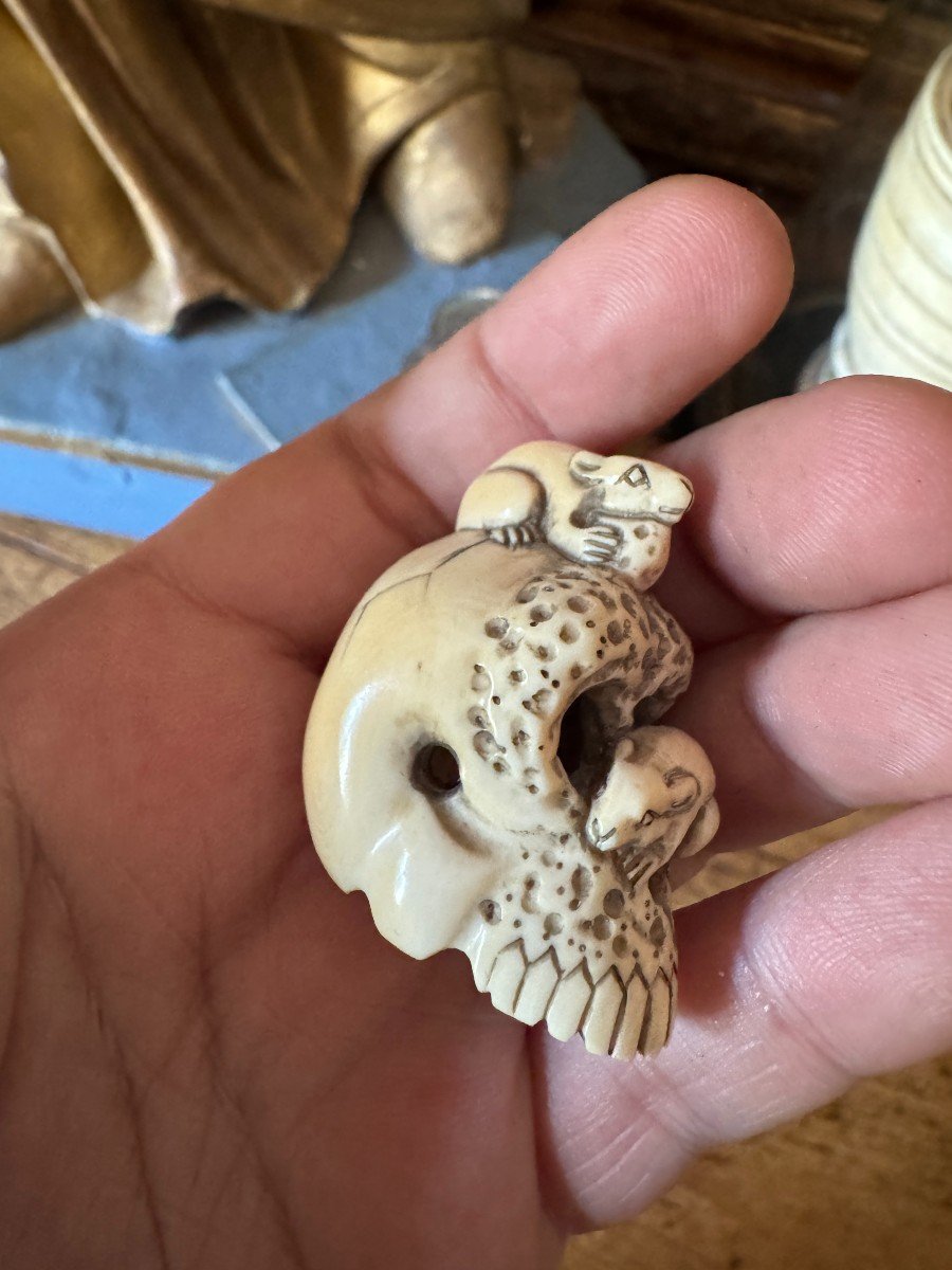 Netsuke Cr&acirc;ne &ndash; Vanit&eacute; &ndash; Memento Mori &ndash; Cr&acirc;ne Surmont&eacute; De Deux Rats - Japon - Curiosit&eacute;-photo-4