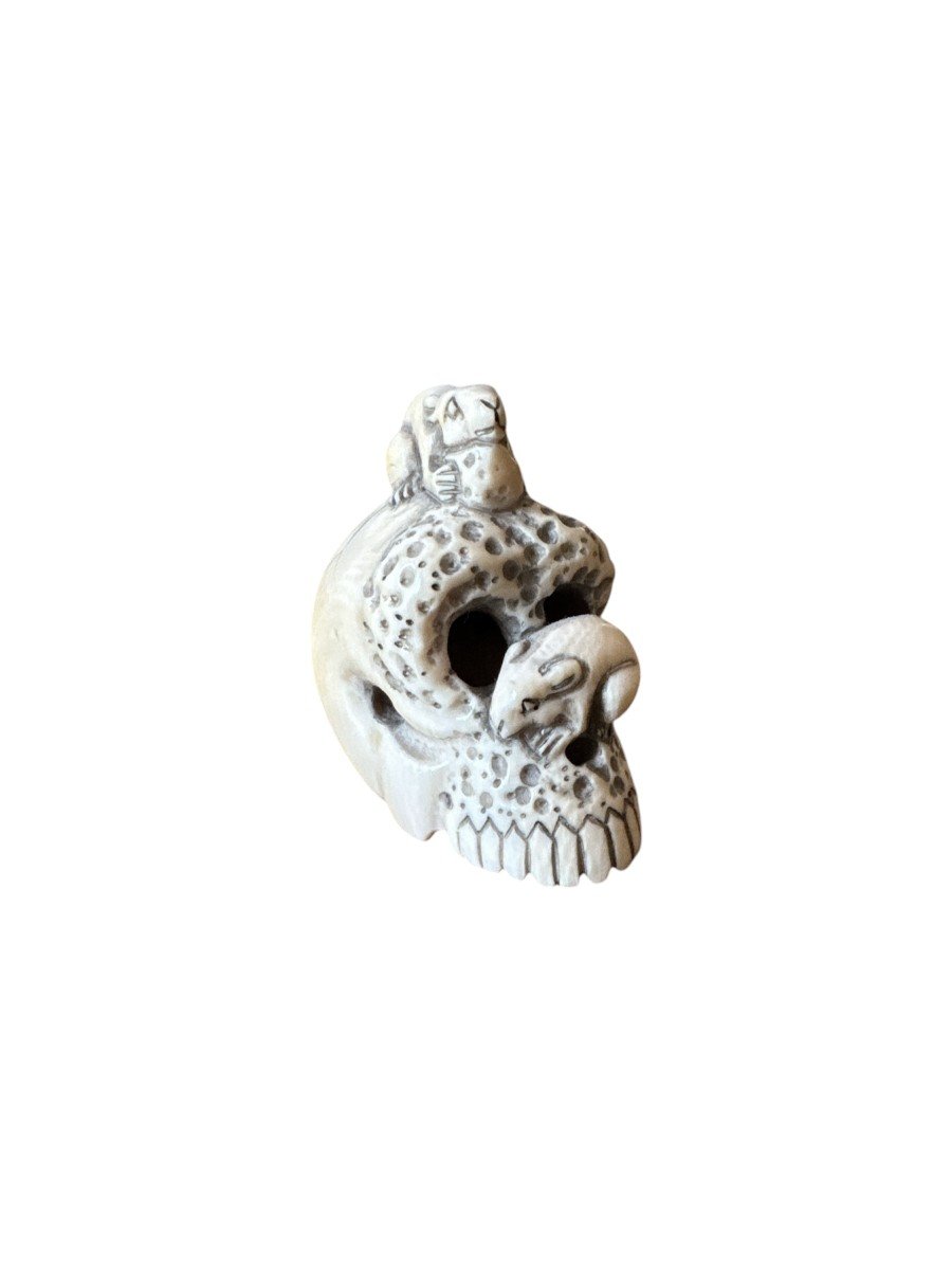 Netsuke Cr&acirc;ne &ndash; Vanit&eacute; &ndash; Memento Mori &ndash; Cr&acirc;ne Surmont&eacute; De Deux Rats - Japon - Curiosit&eacute;