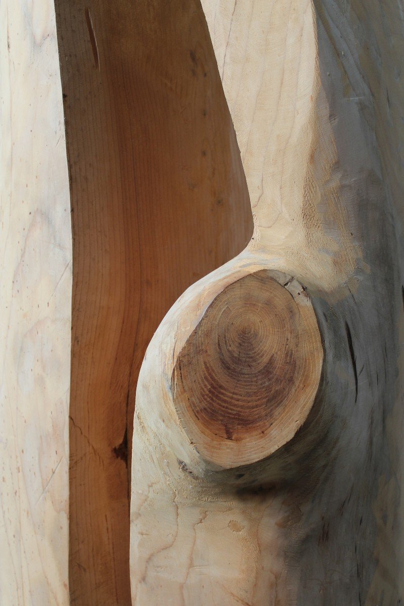 Sculpture Abstraite En Bois XXl De Roland Lavianne-photo-4